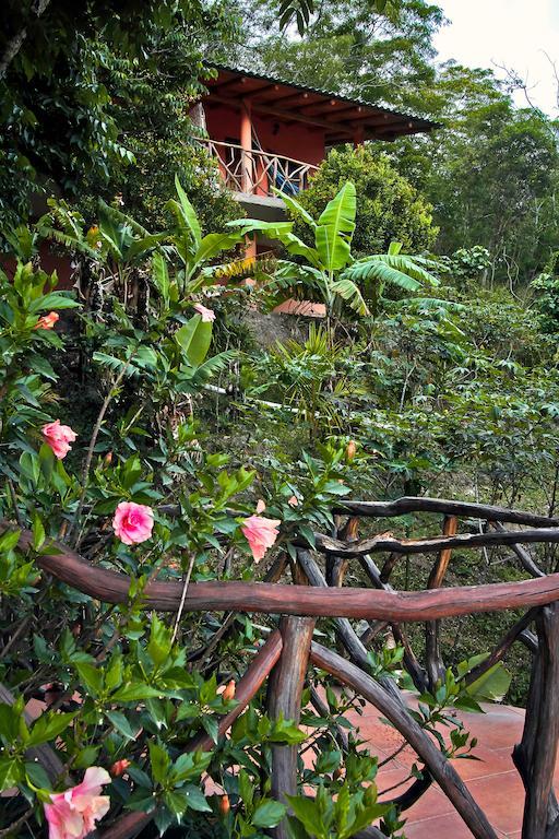Casa Madre Tierra Vilcabamba Exterior photo